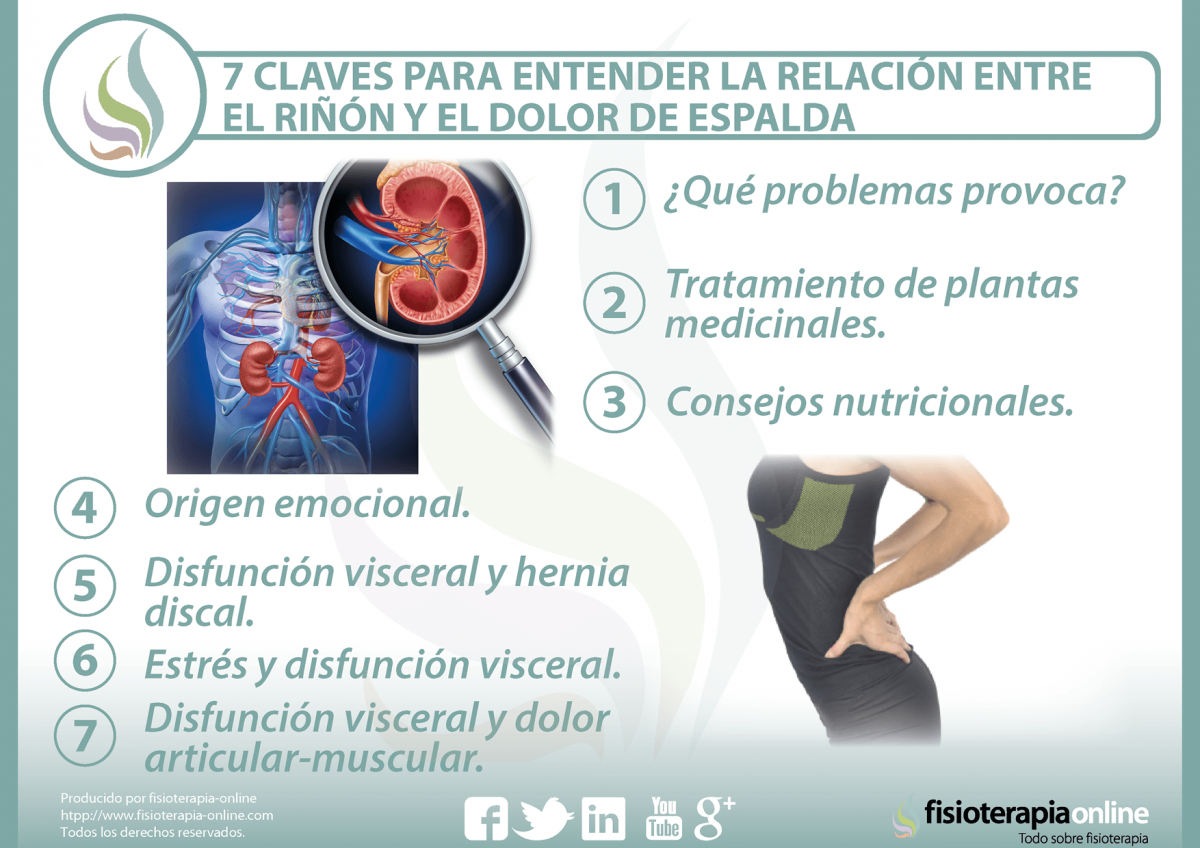 Tengo dolor a la altura de los rinones